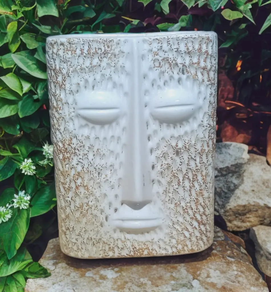 silent face vase