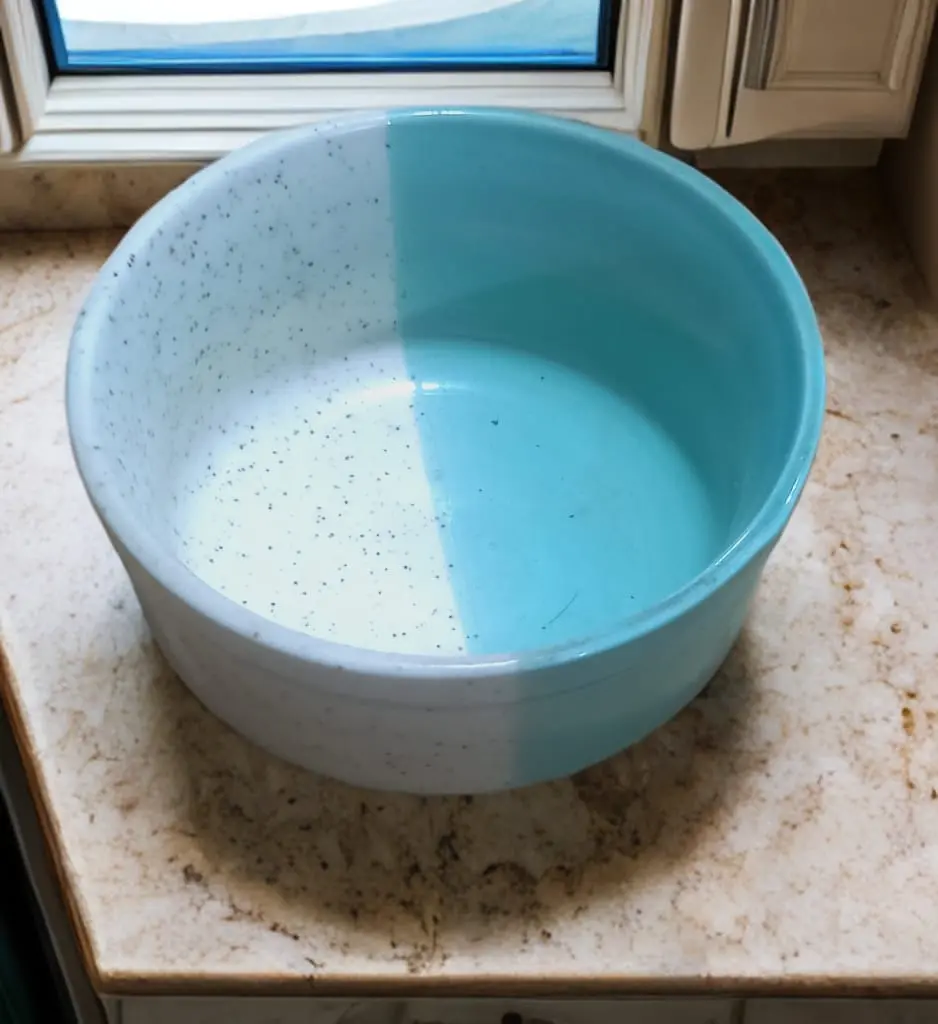 Dual Toned Blue & White Bowl