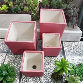 PINK SPECKLED TREE PLANTER