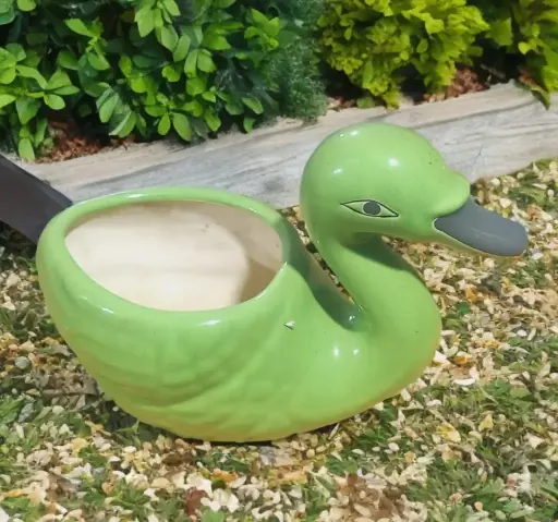 Green Duck shaped tree planter