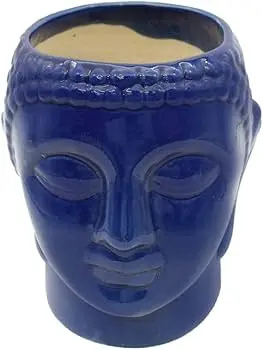 Blue lord buddha tree planter