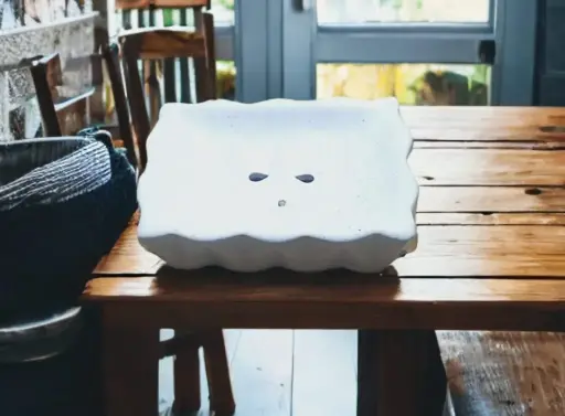 White Soap Case
